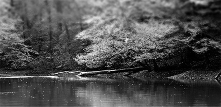 短信压力测试器免费网页版